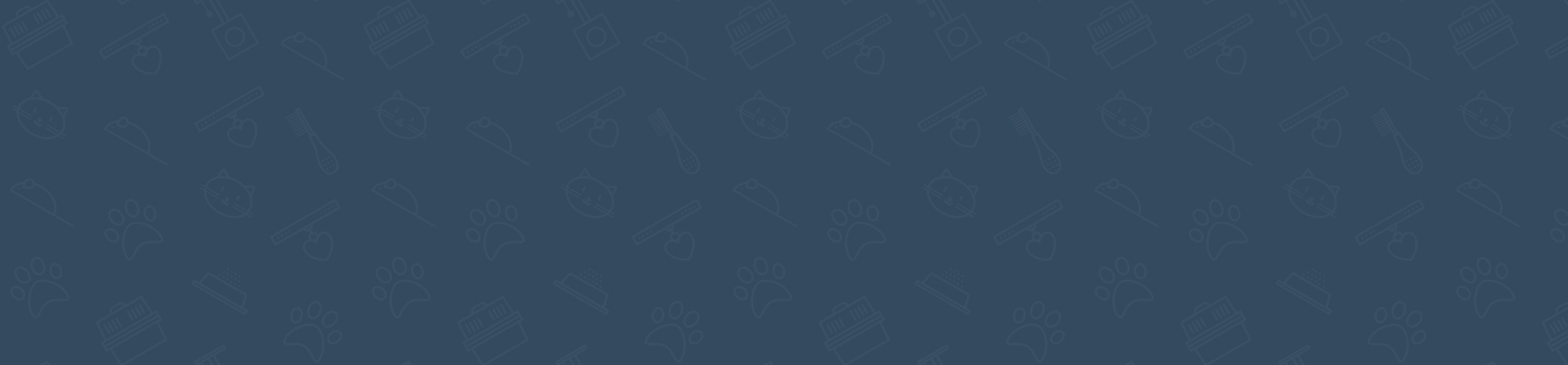 background-image-1.jpg