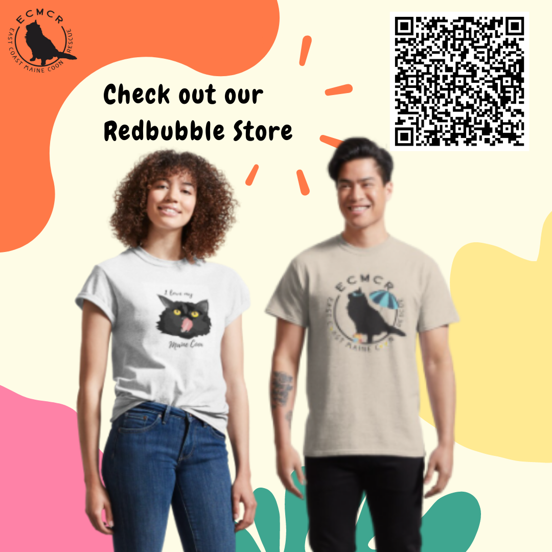 RB-Store.png