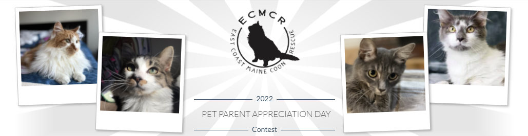 Pet-Parent-Appreciation-Banner.png