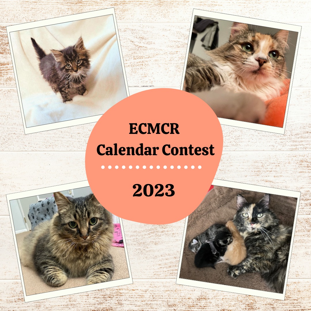 Calendar-Contest-Promo.jpg