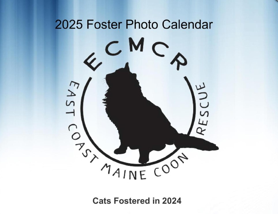 Calendar-Cover-Page-Fosters.jpg