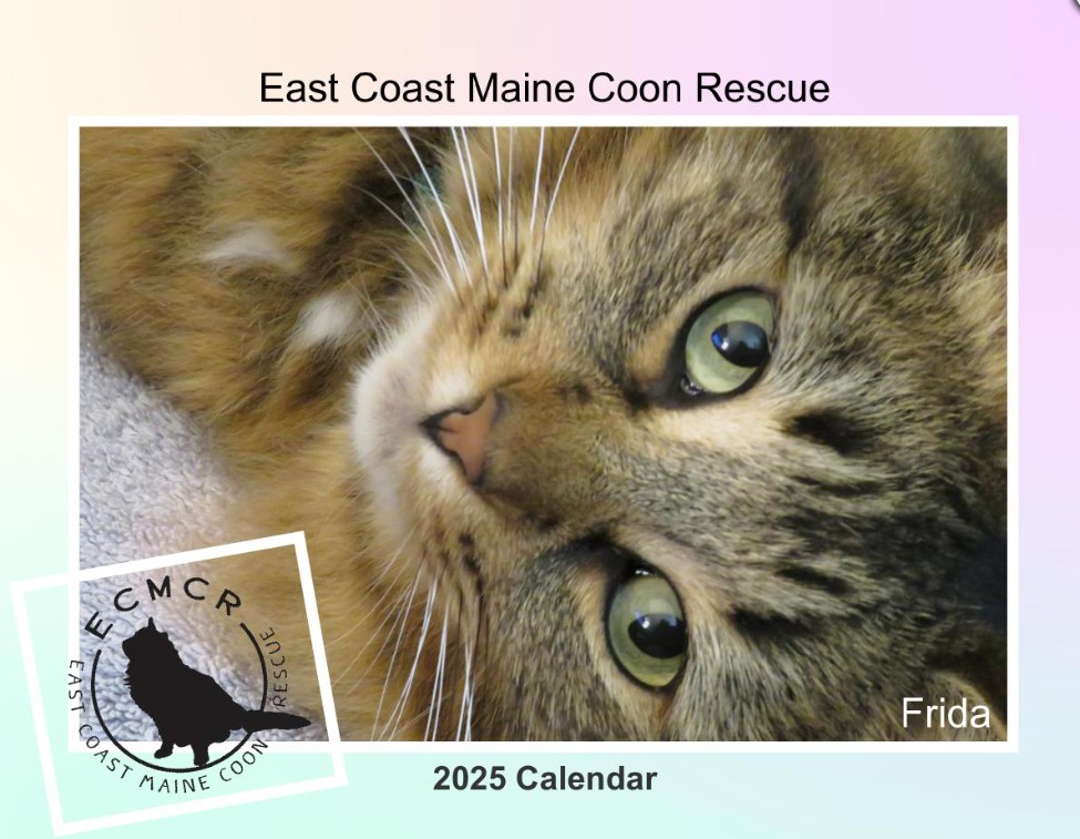 Calendar-Cover-Page.jpg